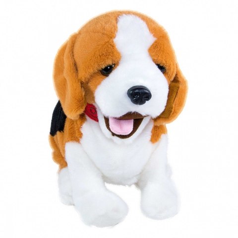 Maskotka interaktywna figo pies reagujący na komendy beagle Maskotka interaktywna figo pies reagujący na komendy beagle
