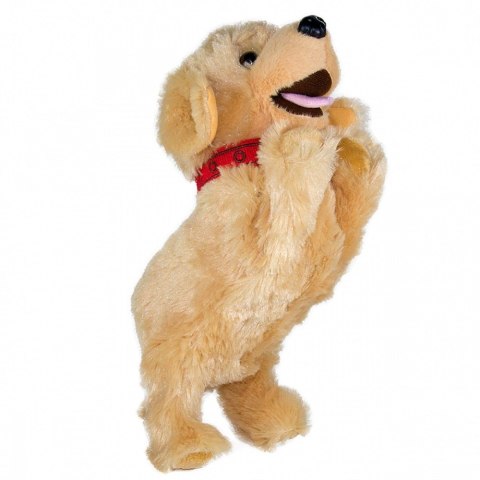 Maskotka interaktywna figo pies reagujący na komendy labrador Maskotka interaktywna figo pies reagujący na komendy labrador