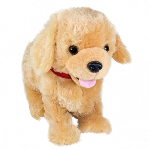 Maskotka interaktywna figo pies reagujący na komendy labrador Maskotka interaktywna figo pies reagujący na komendy labrador