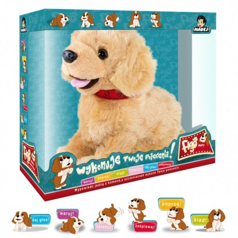 Maskotka interaktywna figo pies reagujący na komendy labrador Maskotka interaktywna figo pies reagujący na komendy labrador