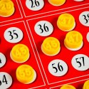 Gra ludoteca bingo