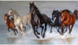 Diamentowa mozaika - konie 40x80 cm