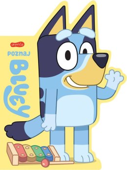 Książeczka poznaj bluey książeczki kartonowe