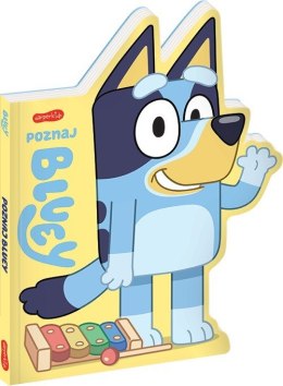 Książeczka poznaj bluey książeczki kartonowe