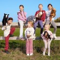 Koń na kiju hobby horse hoppihorse a4 leopard - biały, maść tarantowata