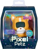 Pixel petz, corgi