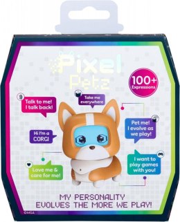 Pixel petz, corgi