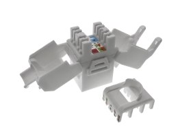 Gniazdo keystone, RJ45, beznarzędziowe, nieekranowane, kat. 6A, Q-LANTEC