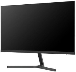 Monitor 24