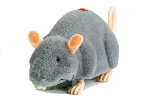 Mysz Zdalnie Sterowana Pilotem R/C Na Kółkach Duża Szara Mysz Zdalnie Sterowana Pilotem R/C Na Kółkach Duża Szara