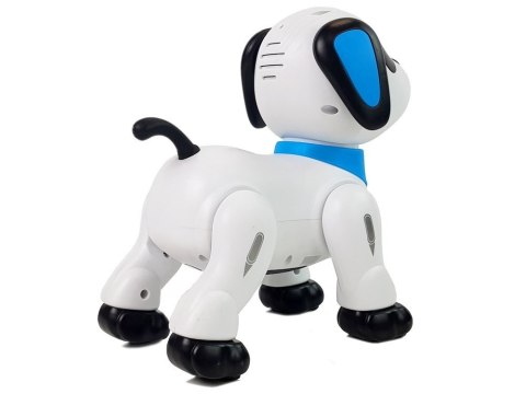 Pies Robot Zdalnie Sterowany Głosem Pilotem Tańczy Szczeka Wykonuje Komendy Pies Robot Zdalnie Sterowany Głosem Pilotem Tańczy Szczeka Wykonuje Komendy