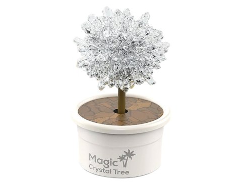 Magiczne Drzewko Hodowla Kryształów Doświadczenia Srebrne Magiczne Drzewko Hodowla Kryształów Doświadczenia Srebrne