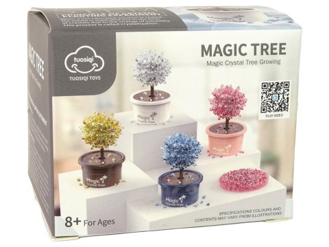 Magiczne Drzewko Hodowla Kryształów Doświadczenia Srebrne Magiczne Drzewko Hodowla Kryształów Doświadczenia Srebrne