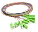 12X Pigtail SC/APC SM G657A