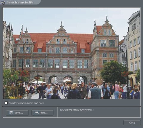 ALNET NETSTATION licencja na 1 kanał wideo do NS 4